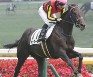 ヒヒーン!競馬の祭典 日本ダービーの1着馬を当てよう!予想イベント開催中(^.^)