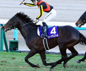 2025年「有馬記念」の優勝馬は! ミュージアムマイル号になりました!!!
