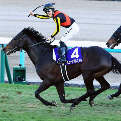 2025年「有馬記念」の優勝馬は！ ミュージアムマイル号になりました！！！